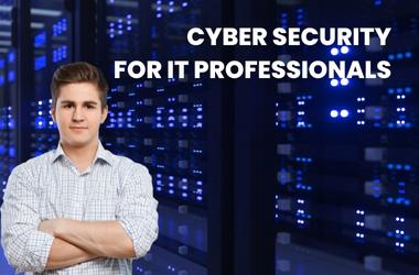 IT Professionals